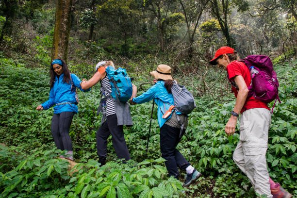 Environmental Support - Image 6