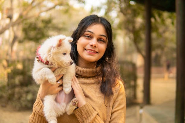 Animal Welfare & Support - Image 6