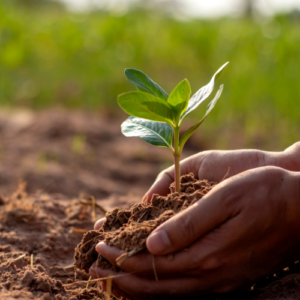 Environmental Support