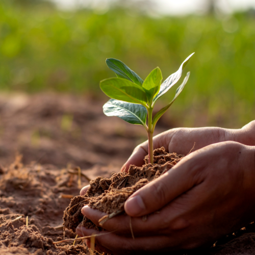 Environmental Support