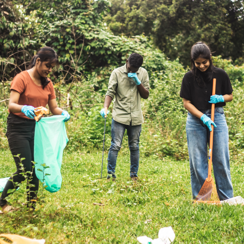 Environmental Support - Image 2