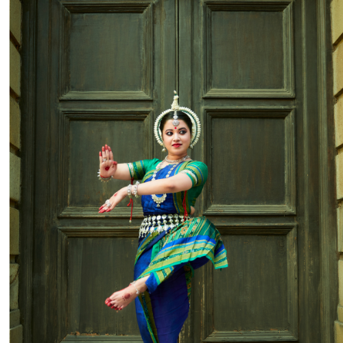 Entertainment & Cultural Support - Image 4