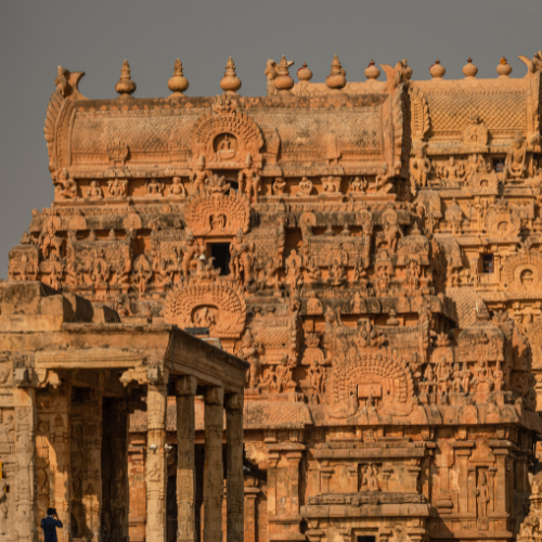 Temple Rebranding - Image 4