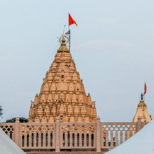 Temple Rebranding - Image 3