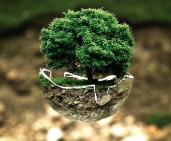 environmental-protection-683437_1280